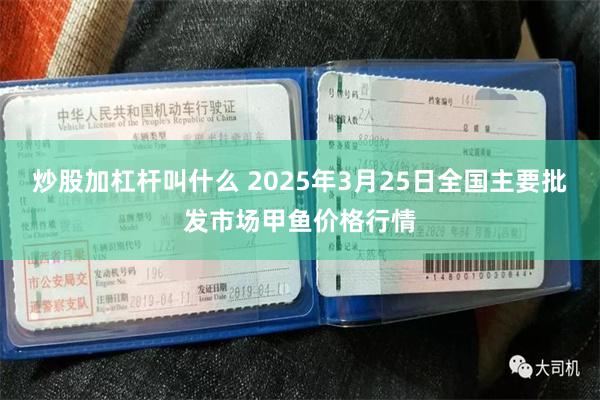 炒股加杠杆叫什么 2025年3月25日全国主要批发市场甲鱼价格行情