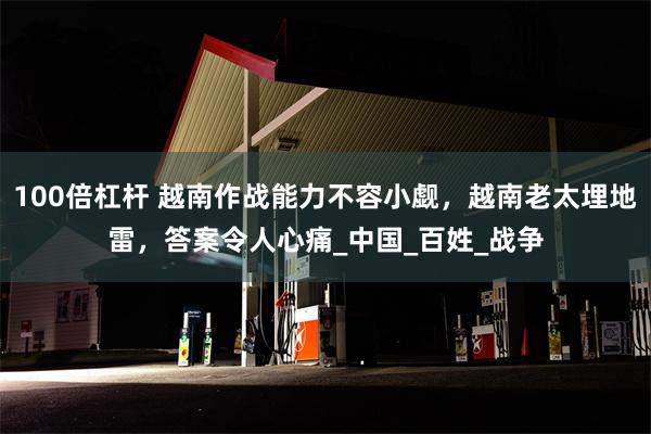 100倍杠杆 越南作战能力不容小觑，越南老太埋地雷，答案令人心痛_中国_百姓_战争