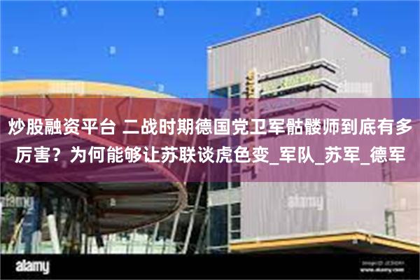 炒股融资平台 二战时期德国党卫军骷髅师到底有多厉害？为何能够让苏联谈虎色变_军队_苏军_德军