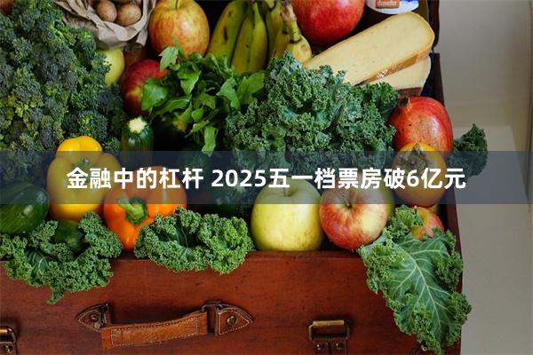 金融中的杠杆 2025五一档票房破6亿元
