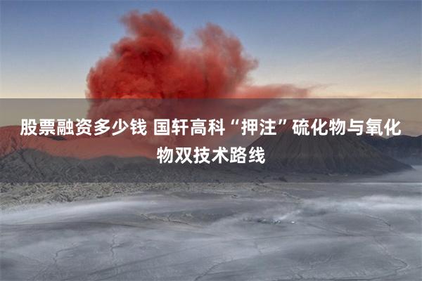 股票融资多少钱 国轩高科“押注”硫化物与氧化物双技术路线