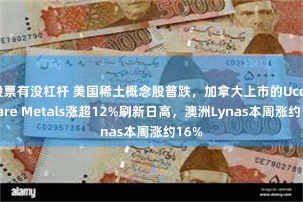 股票有没杠杆 美国稀土概念股普跌，加拿大上市的Ucore Rare Metals涨超12%刷新日高，澳洲Lynas本周涨约16%
