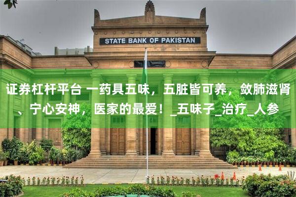 证券杠杆平台 一药具五味，五脏皆可养，敛肺滋肾、宁心安神，医家的最爱！_五味子_治疗_人参