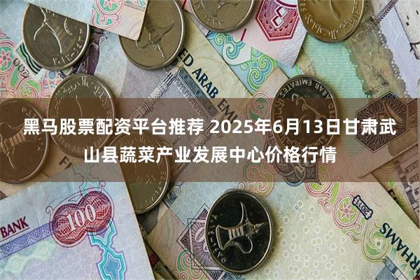 黑马股票配资平台推荐 2025年6月13日甘肃武山县蔬菜产业发展中心价格行情