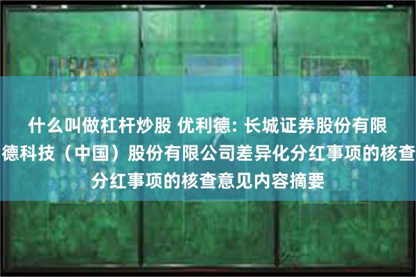 什么叫做杠杆炒股 优利德: 长城证券股份有限公司关于优利德科技（中国）股份有限公司差异化分红事项的核查意见内容摘要