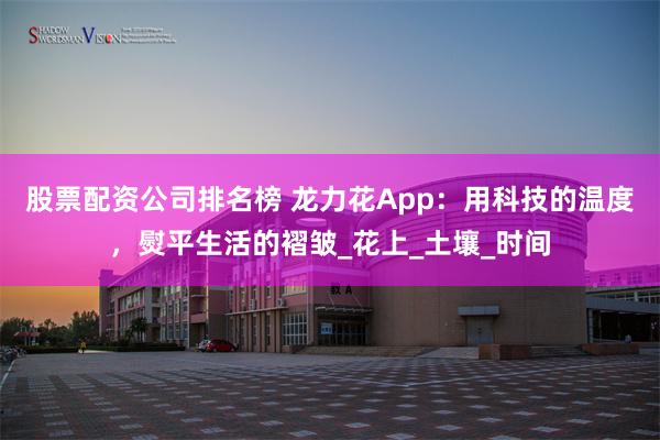 股票配资公司排名榜 龙力花App：用科技的温度，熨平生活的褶皱_花上_土壤_时间