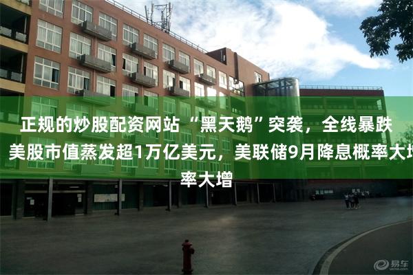 正规的炒股配资网站 “黑天鹅”突袭，全线暴跌！美股市值蒸发超1万亿美元，美联储9月降息概率大增
