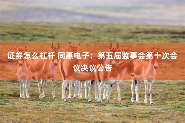 证券怎么杠杆 同惠电子：第五届监事会第十次会议决议公告