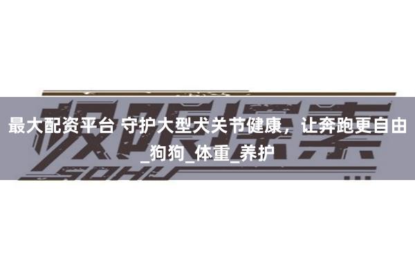 最大配资平台 守护大型犬关节健康，让奔跑更自由_狗狗_体重_养护