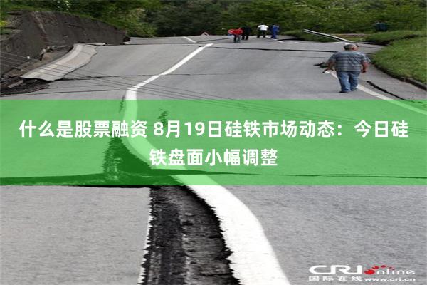 什么是股票融资 8月19日硅铁市场动态:今日硅铁盘面小幅调整