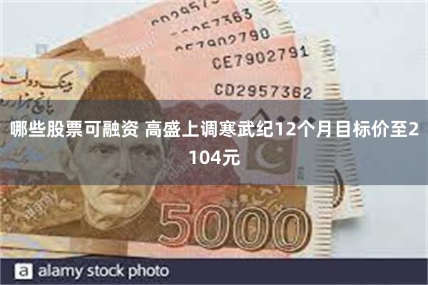 哪些股票可融资 高盛上调寒武纪12个月目标价至2104元