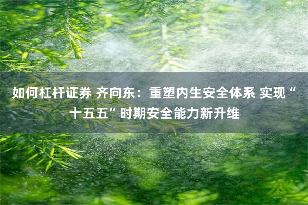 如何杠杆证券 齐向东：重塑内生安全体系 实现“十五五”时期安全能力新升维